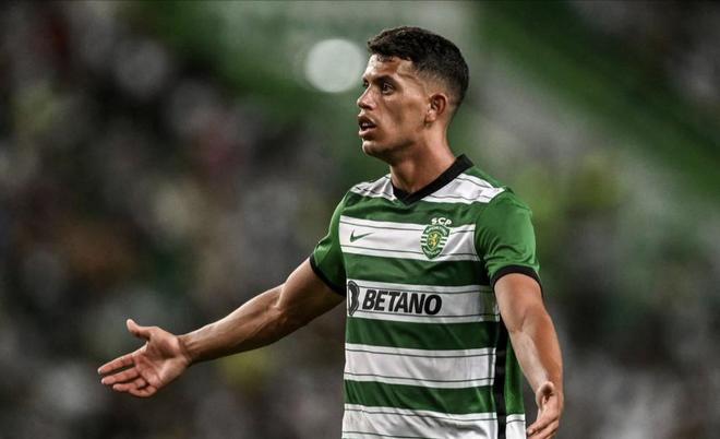 坛的历史篇 坛的历史篇