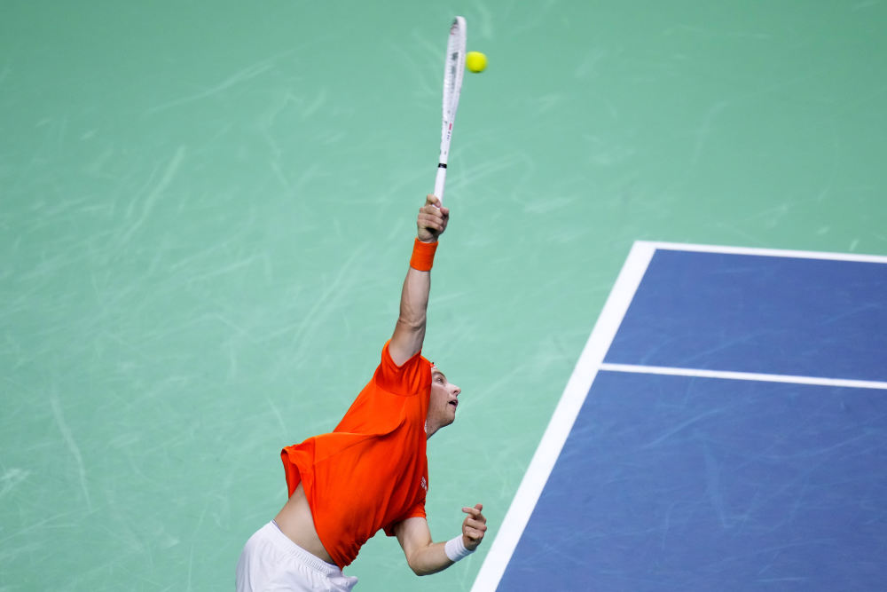 年轻新秀的 年轻新秀的