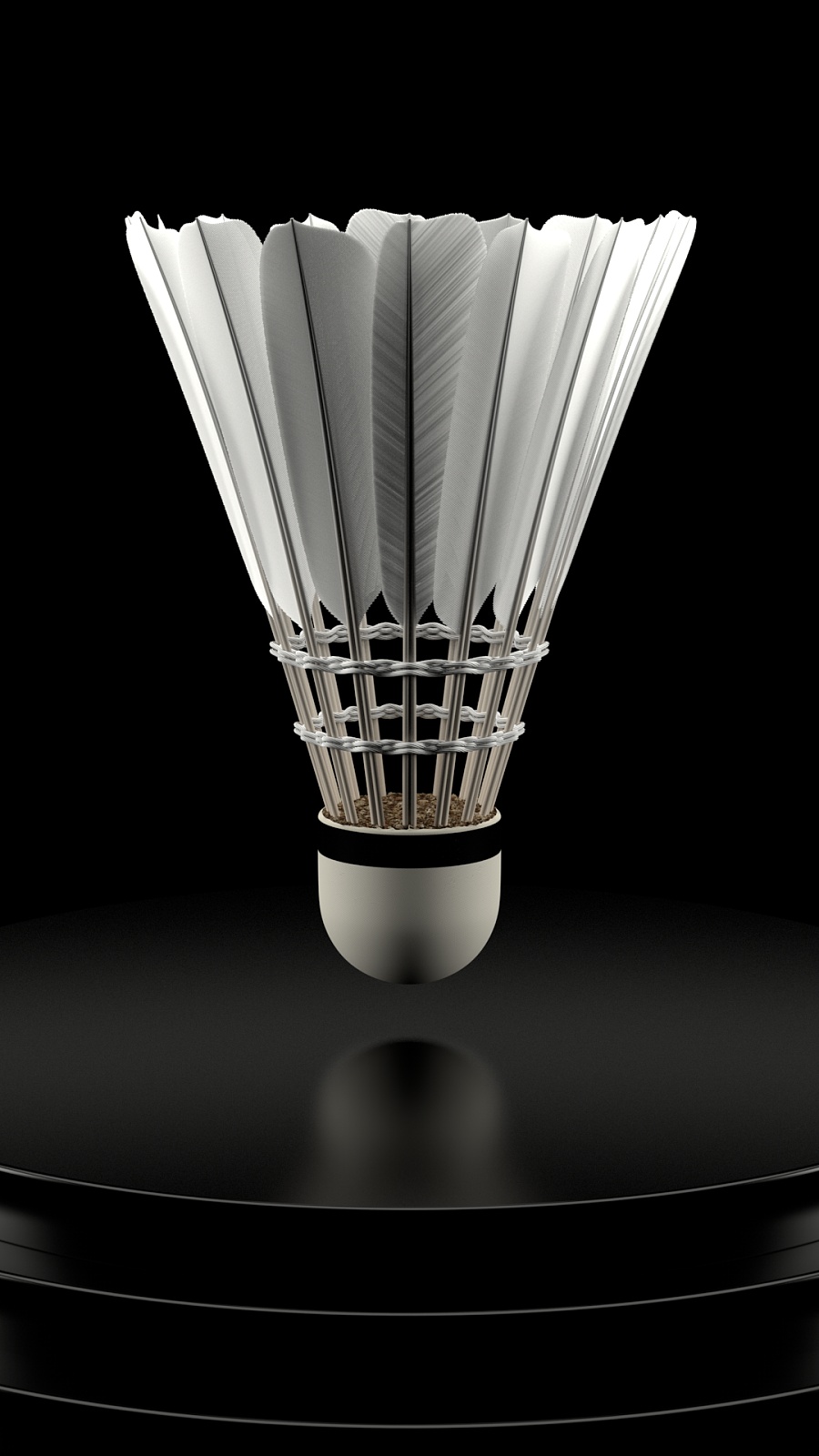 面的贡献 面的贡献