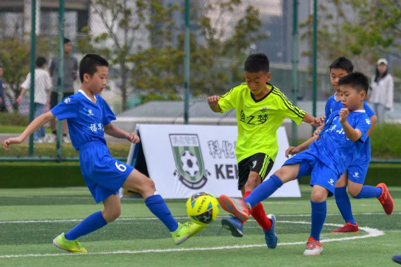 这一简单的 这一简单的