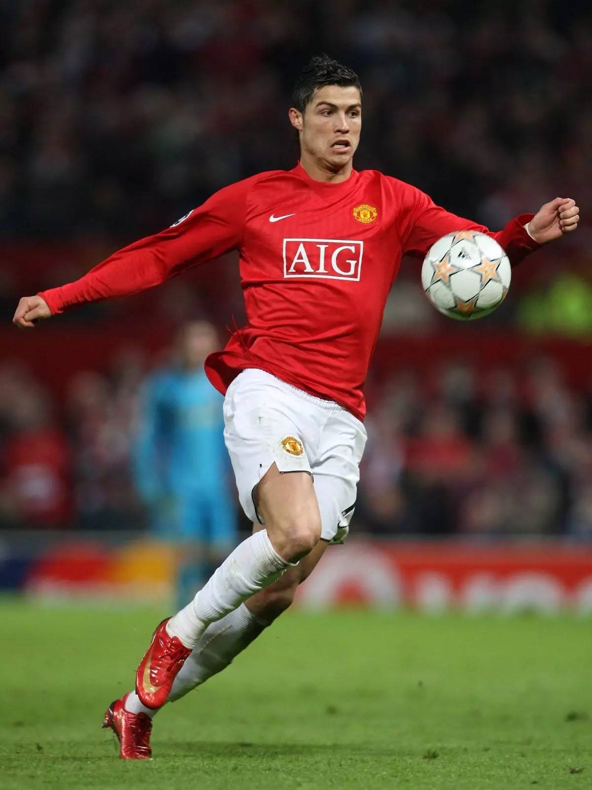 数据团队以 数据团队以